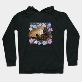 Two Cats with Stars and Flowers Hoodie